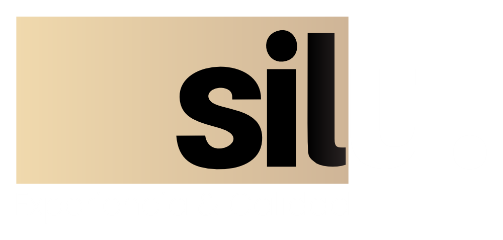 SILU Consultora